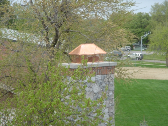 chimney cap and screen in traverse city