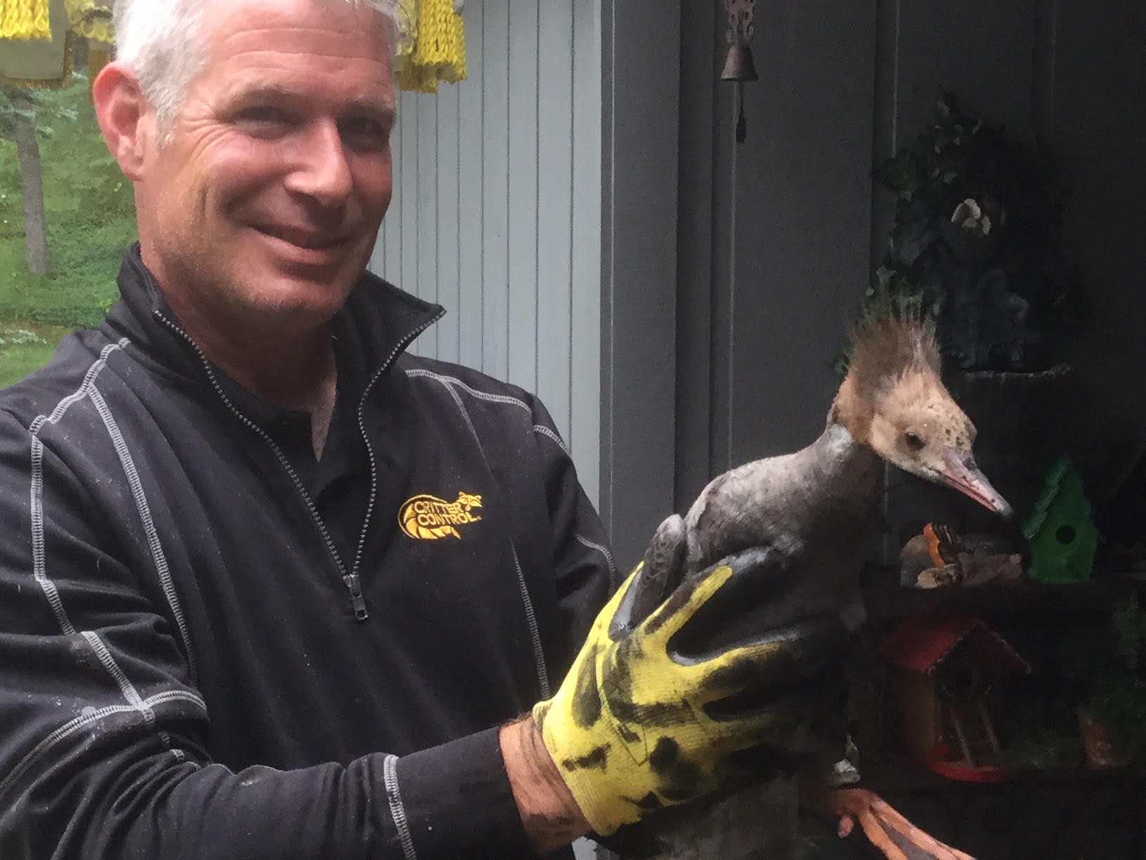 Wildlife technician holding removed wildlife.