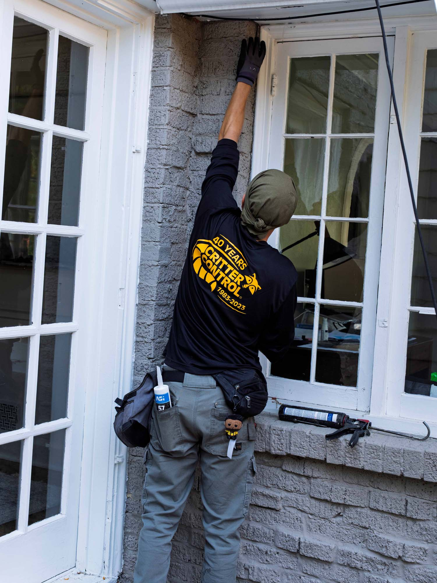 Preventing wildlife issues caulk corners of house Traverse City